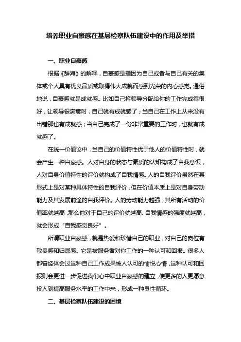 培养职业自豪感在基层检察队伍建设中的作用及举措