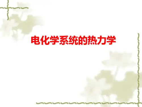 电化学系统的热力学pPPT课件