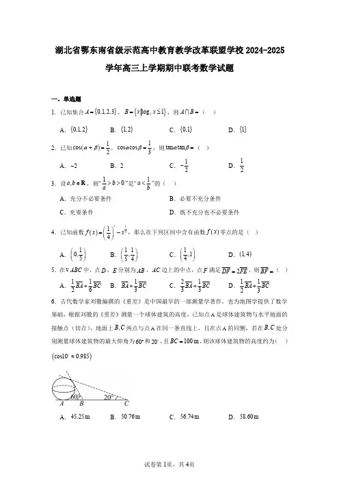 湖北省鄂东南省级示范高中教育教学改革联盟学校2024-2025学年高三上学期期中联考数学试题
