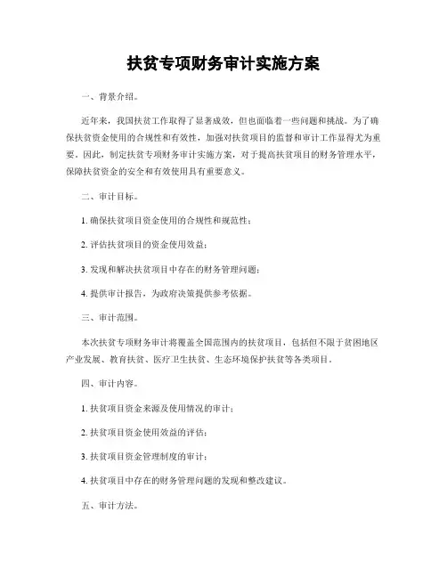 扶贫专项财务审计实施方案