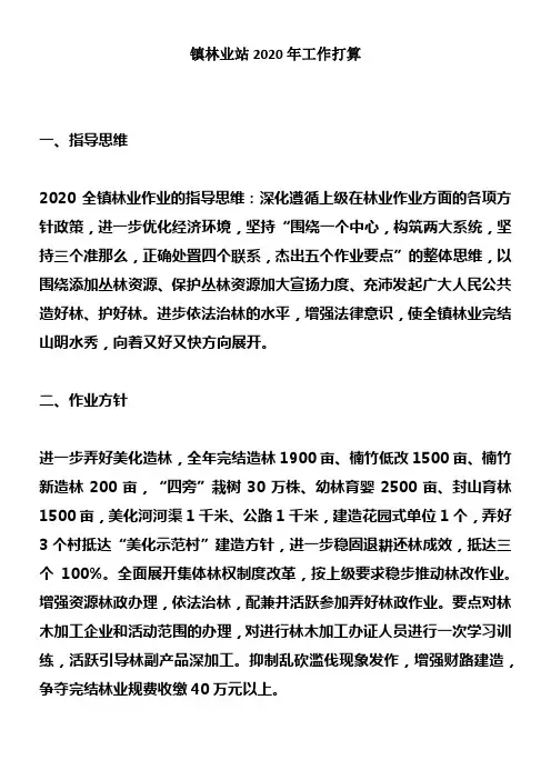 镇林业站2020年工作打算
