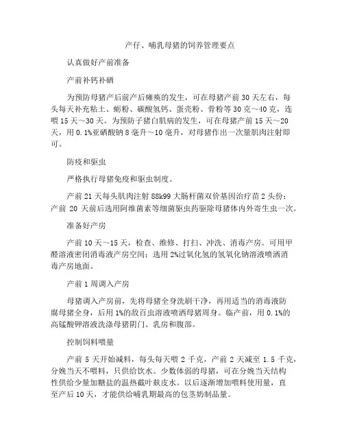 产仔、哺乳母猪的饲养管理要点
