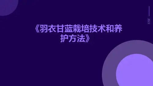 羽衣甘蓝栽培技术和养护方法