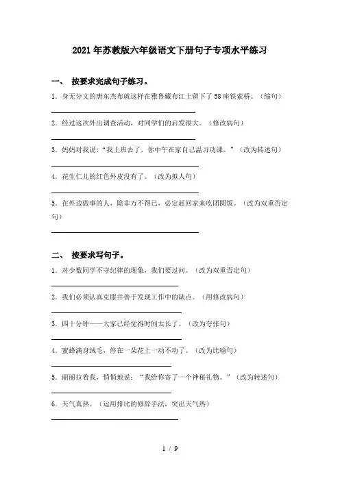 2021年苏教版六年级语文下册句子专项水平练习