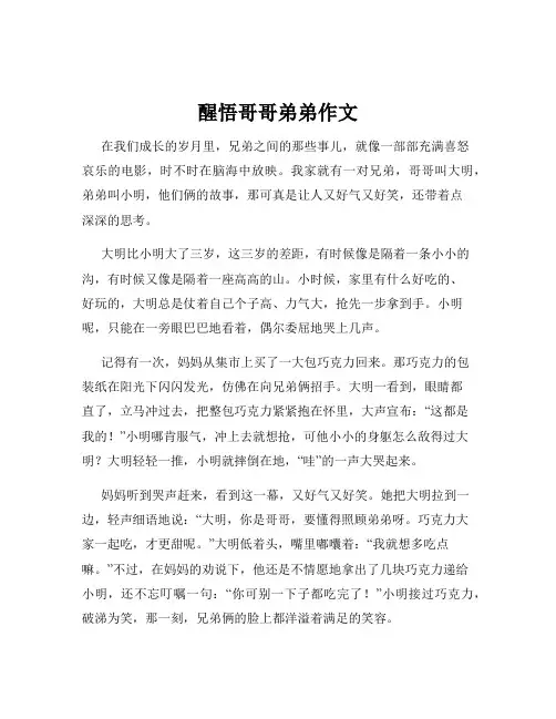 醒悟哥哥弟弟作文