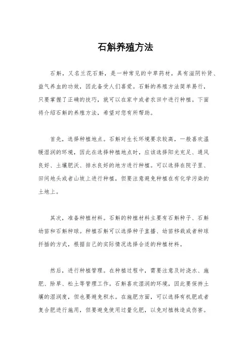 石斛养殖方法
