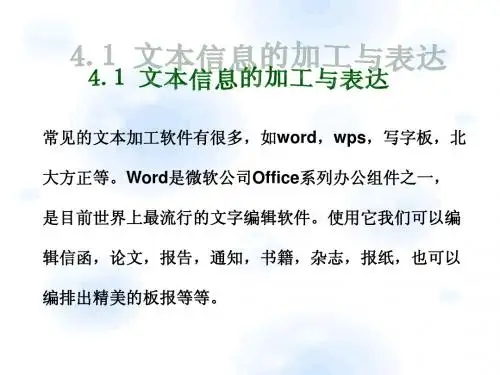 Word文本信息的加工与表达