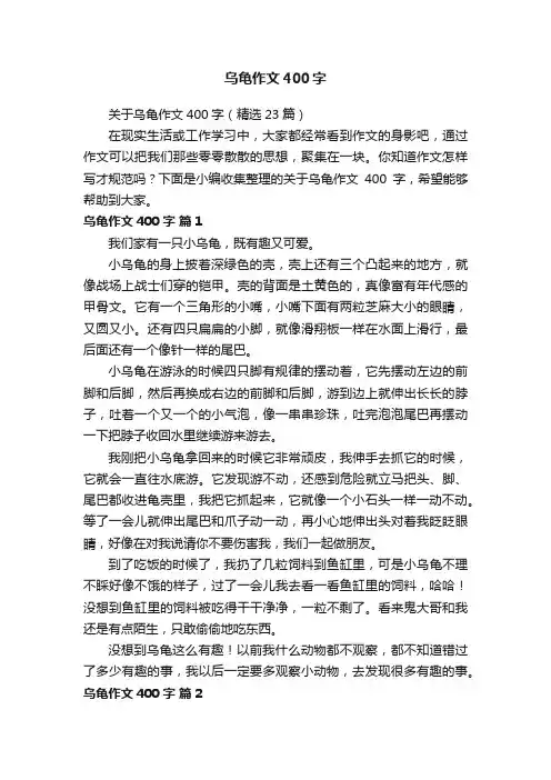 关于乌龟作文400字（精选23篇）