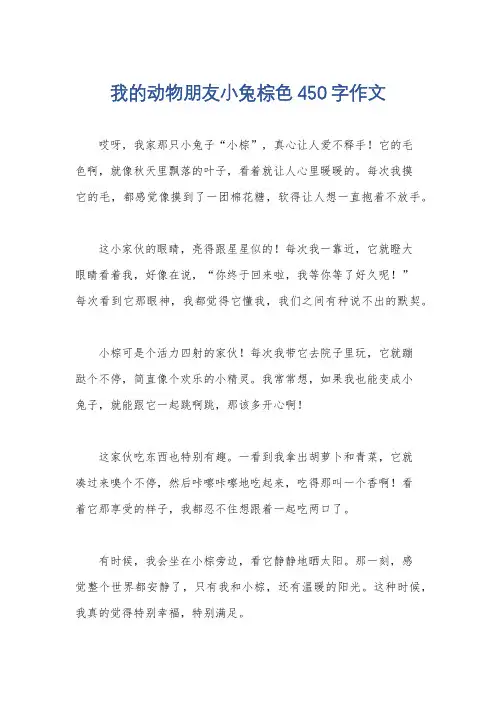 我的动物朋友小兔棕色450字作文