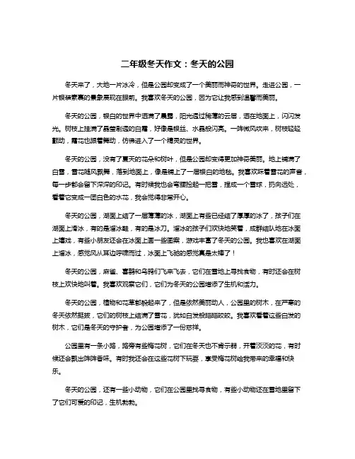 二年级冬天作文：冬天的公园