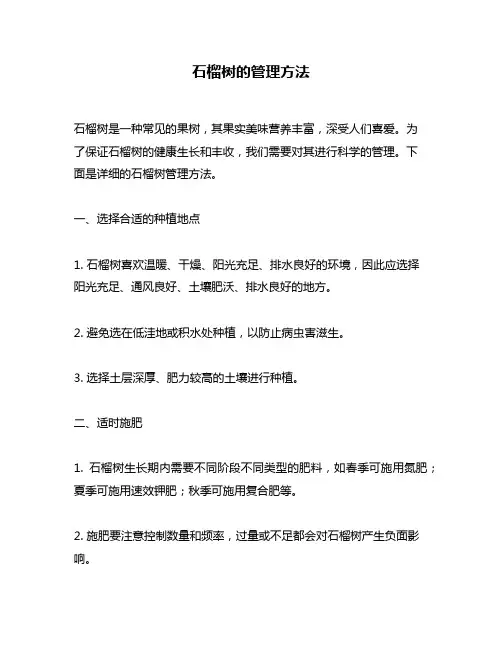 石榴树的管理方法