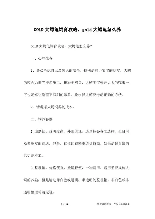 GOLD大鳄龟饲育攻略,gold大鳄龟怎么养