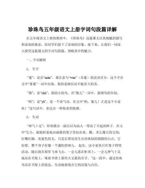 珍珠鸟五年级语文上册字词句段篇详解