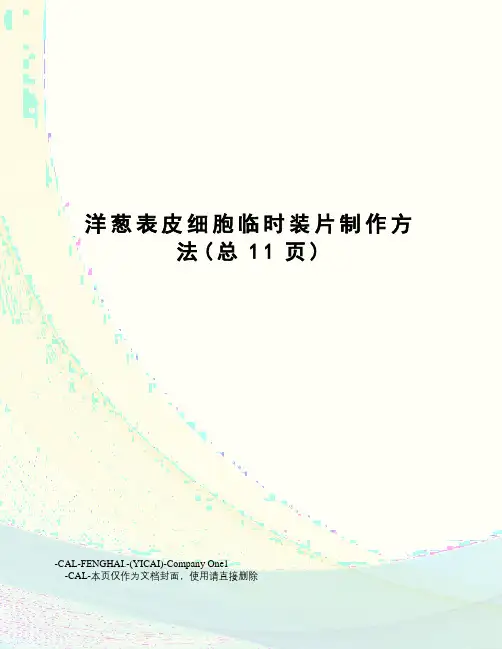 洋葱表皮细胞临时装片制作方法