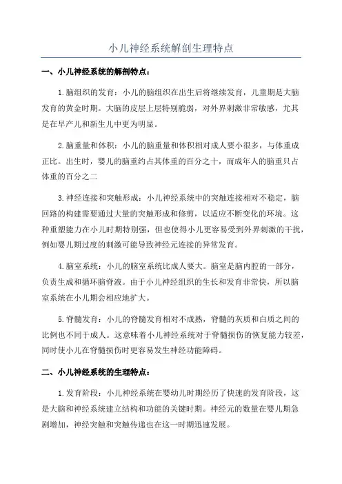 小儿神经系统解剖生理特点