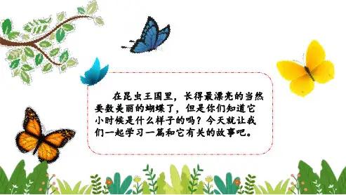 (精)部编版二年级下册《小毛虫》名师公开课完美课件PPT