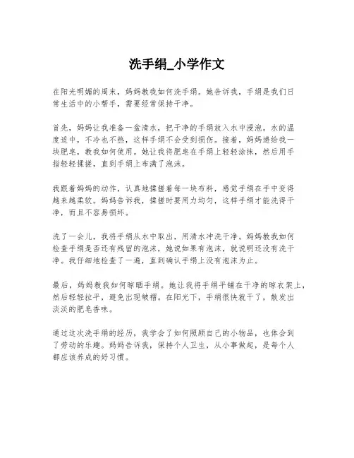 洗手绢_小学作文