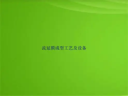 流延膜成型工艺及设备(共21张PPT)
