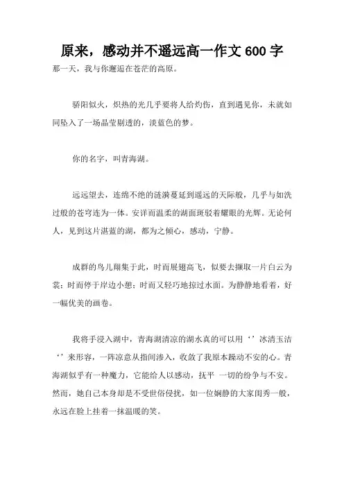原来,感动并不遥远高一作文600字