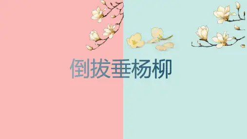 中考语文一轮专题复习：四大名著常考知识点(共41张PPT)