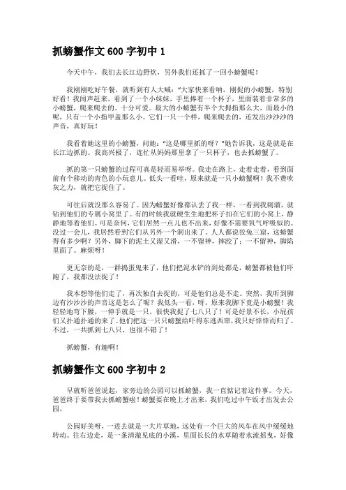 《抓螃蟹》中小学600字精选作文
