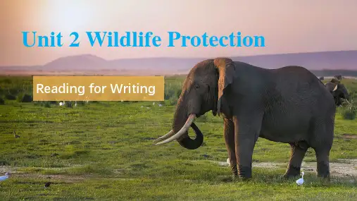 Unit 2 Wildlife Protection课件-高中英语人教版(2019)必修第二册