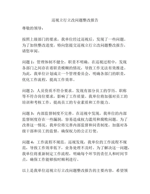 巡视立行立改问题整改报告