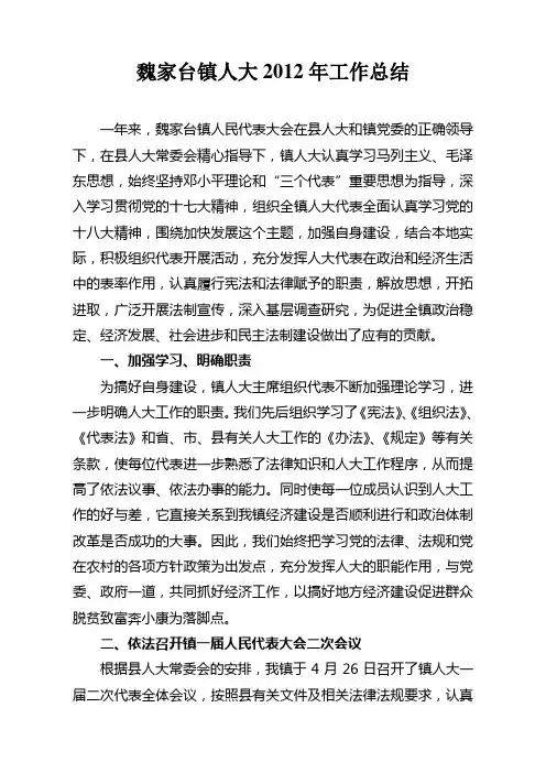 人大工作总结