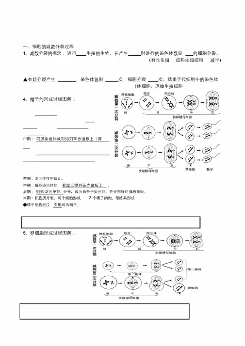 生物必修二知识填空(含答案)