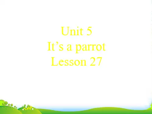 新人教精通版三年级英语下册 Unit 5 It%27s a parrot Lesson 27 课件1