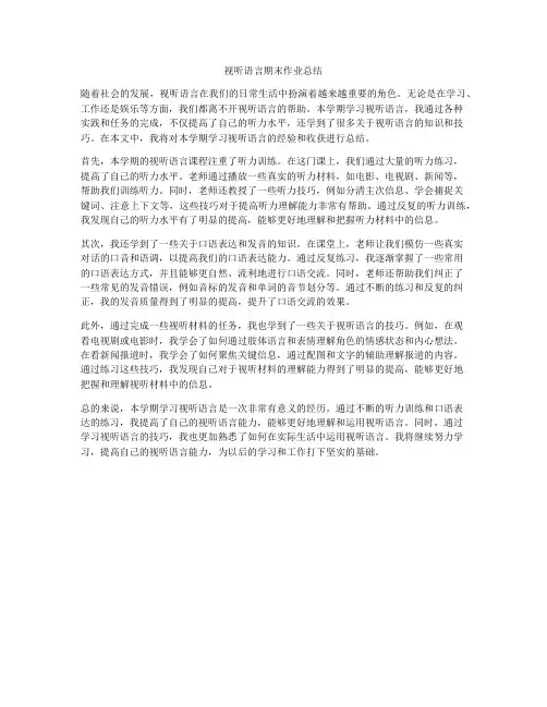 视听语言期末作业总结