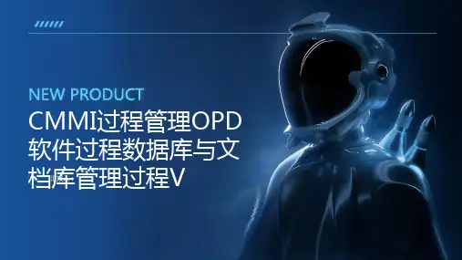 CMMI过程管理OPD软件过程数据库与文档库管理过程V