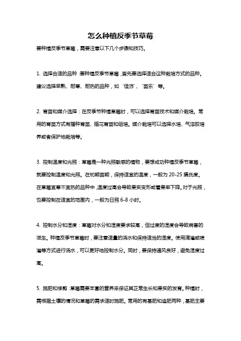 怎么种植反季节草莓