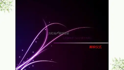 微电影首映式方案课件