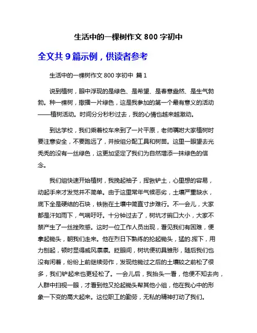 生活中的一棵树作文800字初中