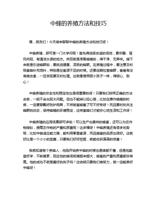 中蜂的养殖方法和技巧