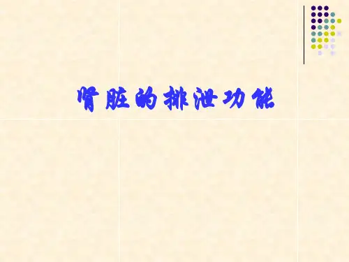 第八章肾脏的排泄功能