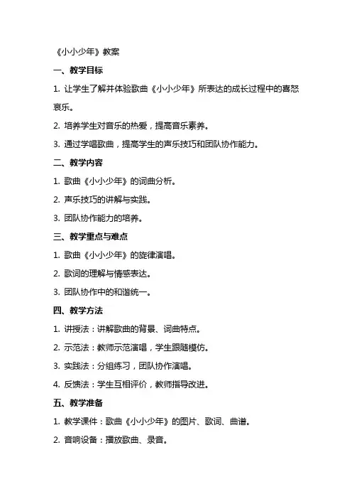 《小小少年》教案