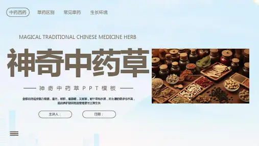 神奇的中药草介绍课件
