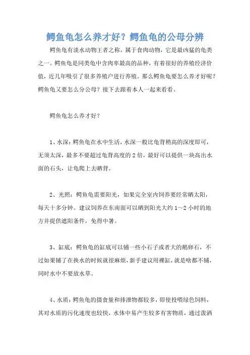 鳄鱼龟怎么养才好？鳄鱼龟的公母分辨