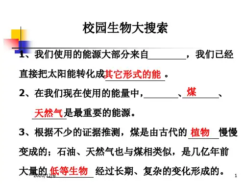 《能量与太阳》教科版小学科学六年级上册第三单元精品PPT教学课件