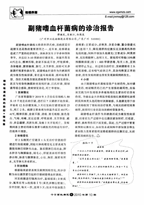 副猪嗜血杆菌病的诊治报告