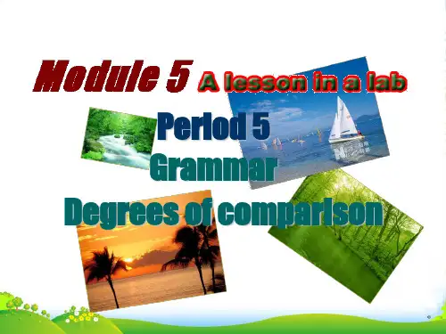 高中英语 Module5 Grammar课件 外研必修1
