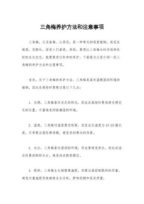 三角梅养护方法和注意事项