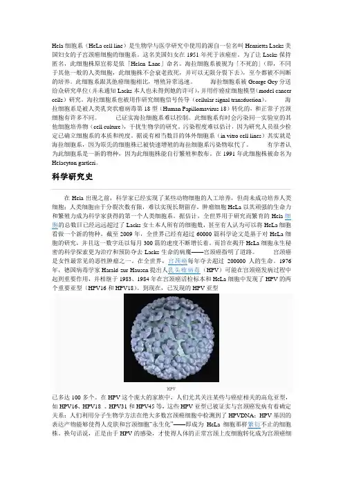 Hela细胞简介