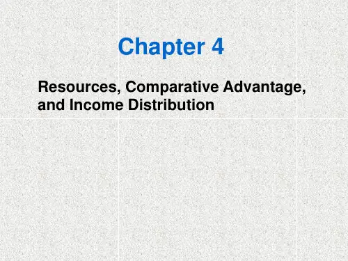 国际经济学英文原版PPT_c04