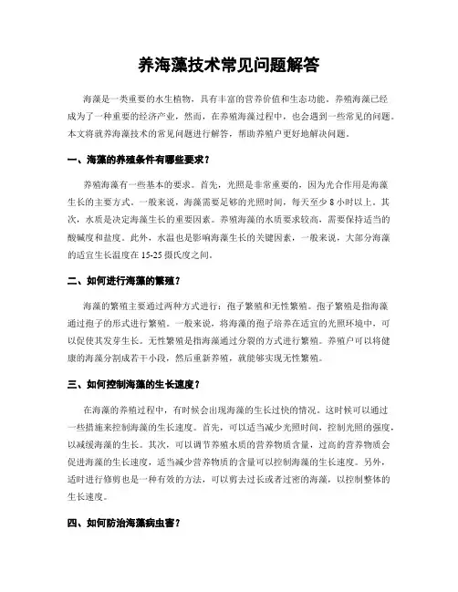 养海藻技术常见问题解答
