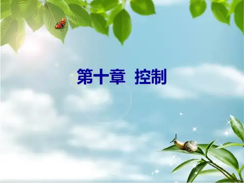 管理学课件第十章控制