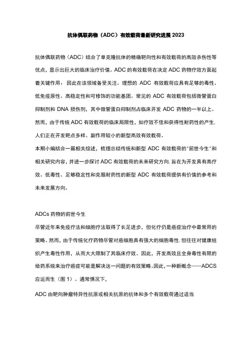 抗体偶联药物(ADC)有效载荷最新研究进展2023