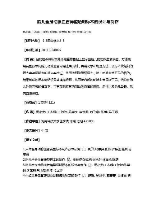 胎儿全身动脉血管铸型透明标本的设计与制作